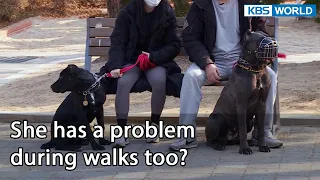 She has a problem during walks too? (Dogs are incredible EP.120-2) | KBS WORLD TV 220503