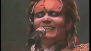 Adam & The Ants, Killer in the home, live