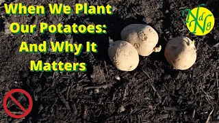 When We Plant Our Potatoes: And Why It Matters