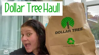 Dollar Tree Haul! 🛍️ Come hang out! April 19, 2024