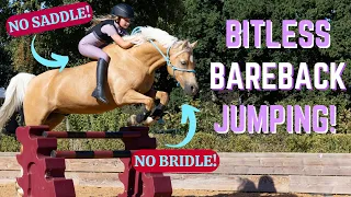 BITLESS BAREBACK JUMPING! NO BRIDLE + NO SADDLE!