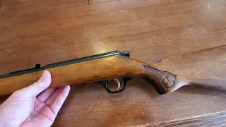 Marlin Glenfield Model 15, my 1st gun.