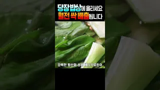 이것 매일 먹으면 혈전이 싹 녹아 내립니다! | 혈전에 좋은 음식 7가지!