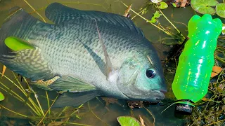 Smart Boy Catching Fish With Littel Bottle||Catching Lot Of Fish #fishing