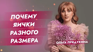 Почему яички разного размера?Ты удивишься!