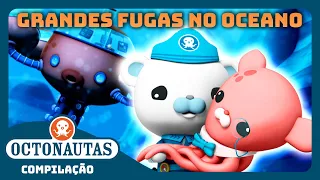 Octonautas - 🌊 Grandes Fugas no Oceano 🛟 | Compilação | Episódios inteiros