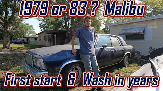 1979 or 83 Chevy Malibu first start and wash in forever. Will it run? Can it be saved?  Mini Revive!