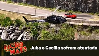 Juba e Cecília sofrem atentado - Bicho do Mato