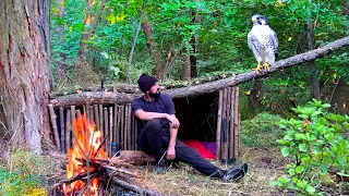 Building a Shelter in the Woods with an eagle Chick