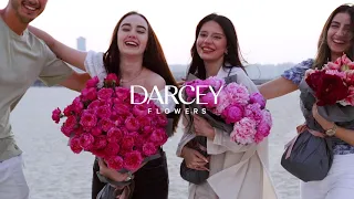 Joy Beyond Flowers - Darcey Flowers