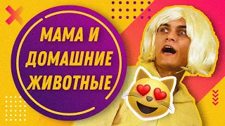 МАМА И ДОМАШНИЕ ЖИВОТНЫЕ. ТИПИЧНАЯ МАМА