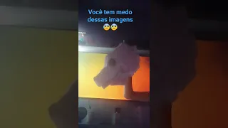 se você tiver agonia dessas imagens você tem tripofobia😱😱