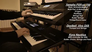 The lonely shepherd - Ferdinando Montecuollo on Yamaha PSR-sx 700, Dexibell SX8 and Korg Nautilus