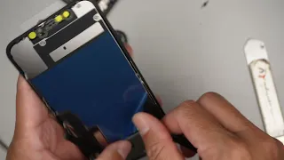 FIXED No Display On iPhone 11 Screen