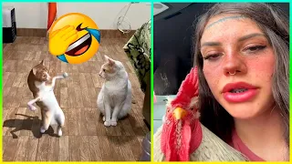 Los Animales Mas Graciosos Del Año 2023 🐶🐱 Videos de Risa de Mascotas 🤣