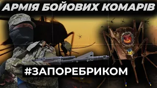 Армія бойових комарів. Пропагандисти проговорилися в ефірі. Вірші для Путіна | ЗА ПОРЕБРИКОМ
