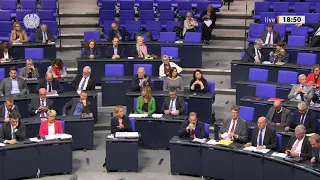 Bundestag 26.09.2019 * Bundeswehreinsatz zur Bekämpfung des IS Terrors * Omid Neuripour * B90/Grüne