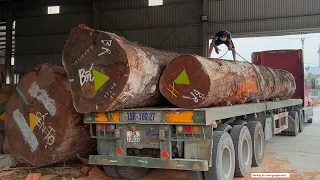 Wood Cutting Skills // Giant Wood Sawing Machine Works Non-Stop