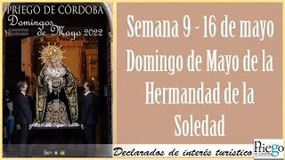 Domingos de Mayo 2022 -Priego de Córdoba- 15 De Mayo - Hermandad De la Soledad