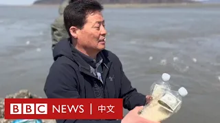 脫北者將裝滿大米的漂流瓶送往朝鮮 這在韓國不再違法－ BBC News 中文