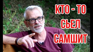 Чем заменить самшит? 8 вариантов / Вечнозелёные живые изгороди / Игорь Билевич