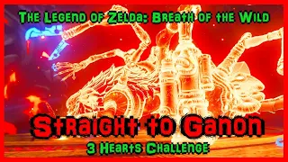 Straight to Ganon With 3 hearts | Challenge | Breath of the Wild