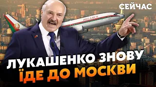 💥ЖИРНОВ: Лукашенко РОЗЛЮТИВ Путіна. Диктатору поставили УМОВУ. Доїть діда, як КОРОВУ