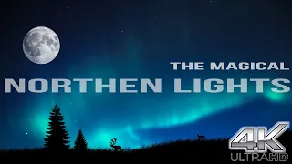 THE MAGICALS Of Northen Lights with Relaxing Music and sound, 4k Ultra HD | Relaxation Video