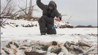 ОТКУДА  в этом ручье столько рыбы? Лифт окуня Первый лед 2021