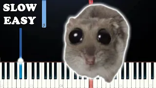 Sad Hamster Violin Meme (SLOW EASY PIANO TUTORIAL)