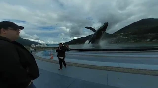 Juneau Alaska Whale Statue VR180 20180625