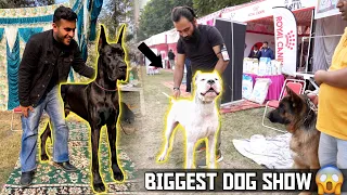 Biggest Dog Show in Haryana | Karnal Dog Show 😱