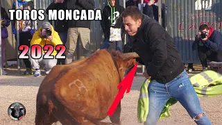 TOROS MONCADA 2022 ALBA ATENEA Y FDO. MACHANCOSES / TOROS TV 2022