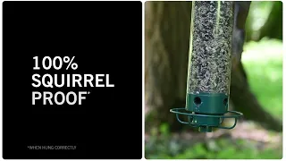 Droll Yankees® Yankee Flipper® | Feed Birds, Not Squirrels