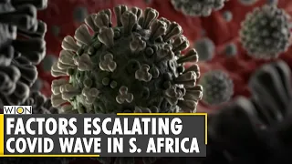 How many COVID variants are dominant in South Africa? Coronavirus | Covid deaths | English News