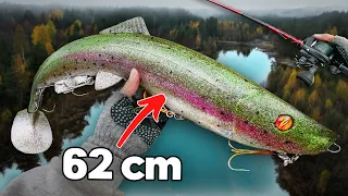 Casting (!!!) a 62 cm / 1,2 kg Swimbait for River Beasts... 🦖