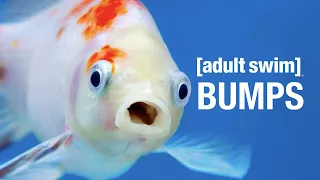 September's Bumps | adult swim