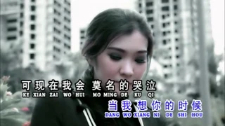 Dang Wo Xiang Ni De Shi Hou 当我想你的时候- 黄家美 Huang Jia Mei