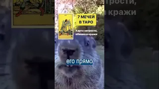 7 мечей в Таро