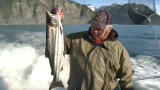 ALASKA salmon halibut fishing. Angeln Lachs Heilbutt.  part 02/Teil 02