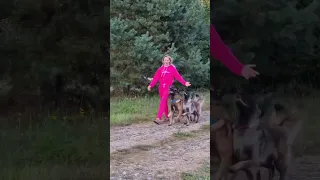 Танцы с собаками. Ильина Полина и Малинуа Илим, Сабур и NikitA  iqdog.ru
