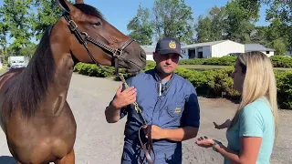 Hambletonian 2022 --  Joviailty S - Temporal Hanover - Periculum - Marcus Melander