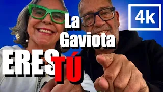 La Gaviota Viajera #228.: LA GAVIOTA ERES TU (4K)