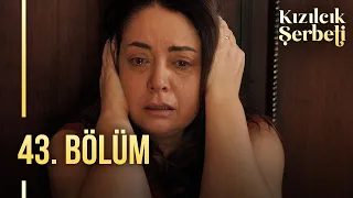 Kızılcık Şerbeti 43. Bölüm  @showtv