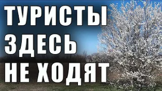 Место в Крыму, где не бывает туристов. Курман и Петровка пгт. Красногвардейское