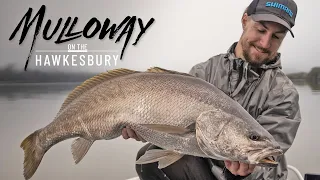 Chasing Metre Mulloway on the Hawkesbury River with Rhys Kennedy!