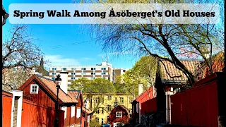 Stockholm: Spring Walk Among Åsöberget’s Old Houses