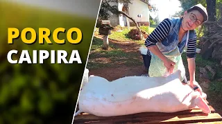 CARNEANDO PORCO E FAZENDO TORRESMO SALAME E MORÇILHA- MATANÇA DE PORCO NA ROÇA! COMO ABATER  PORCO?