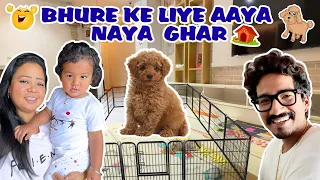 Bhure Ke Liye  Aaya Naya GHAR 🐶🏠 | Bharti Singh | Haarsh Limbachiyaa | Golla