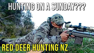 Deer Hunting on a Sunday???